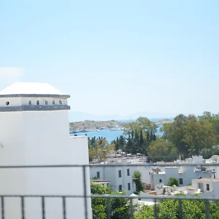 Quatro Life * Αλικαρνασσός